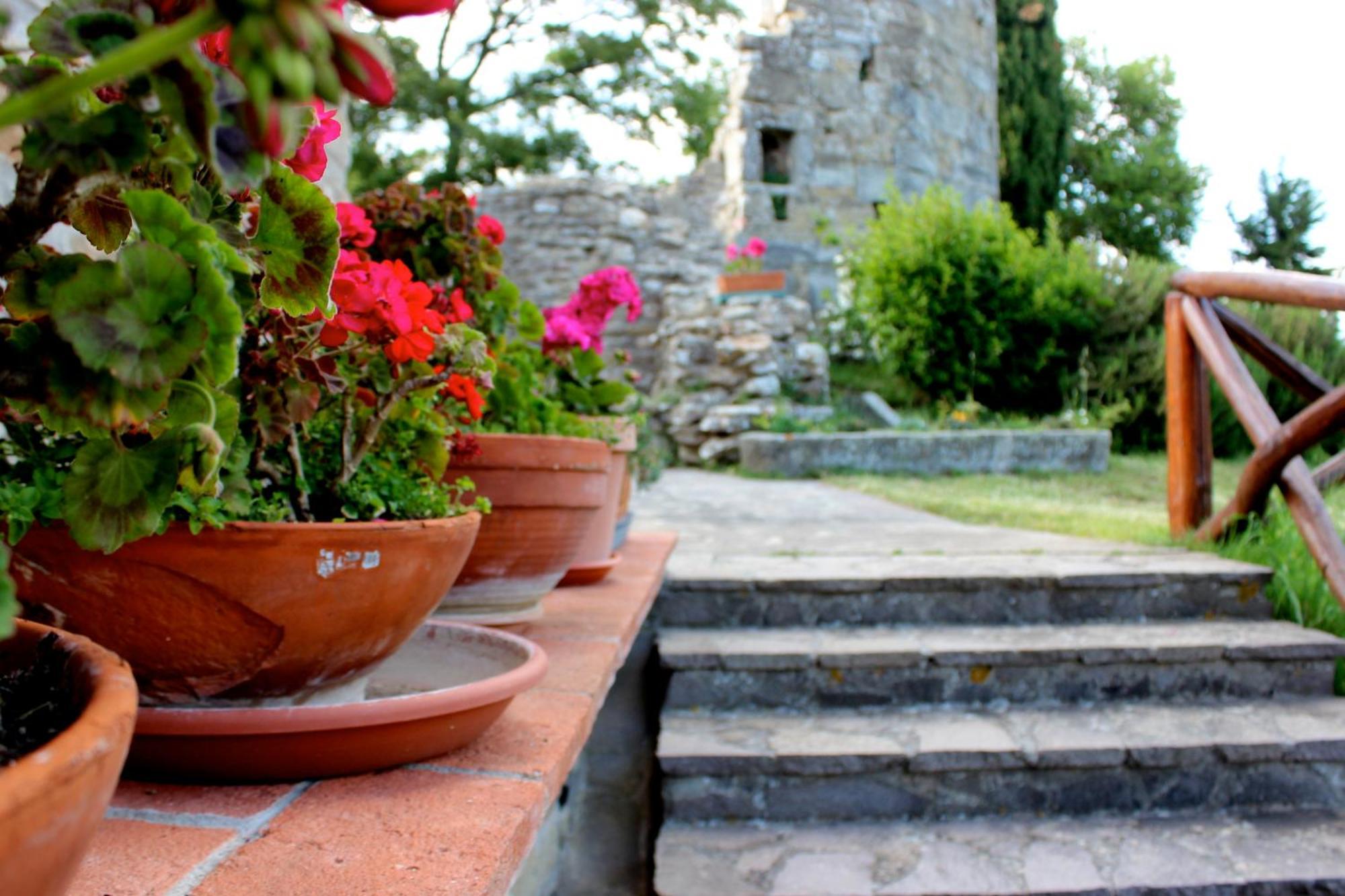 Agriturismo Badia Ficarolo Palazzo del Pero المظهر الخارجي الصورة
